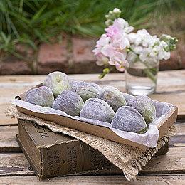 Fami通新一周销量榜 《星之卡比：探索发现》登顶